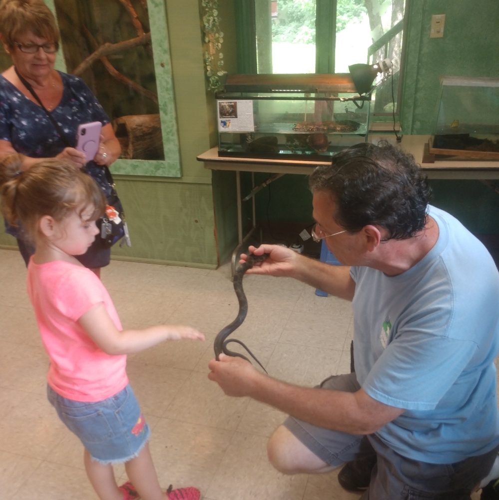 FUNDRAISER 4 RESCUE! - Picture 10 of 16